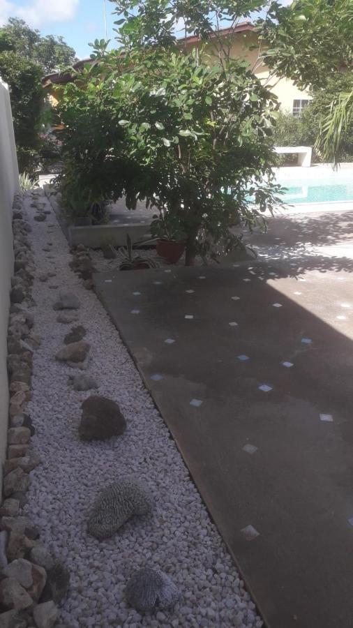 Happy Turtle Apartments ウィレムスタッド エクステリア 写真