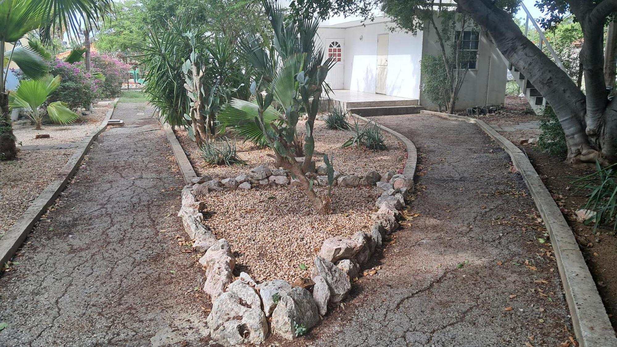 Happy Turtle Apartments ウィレムスタッド エクステリア 写真
